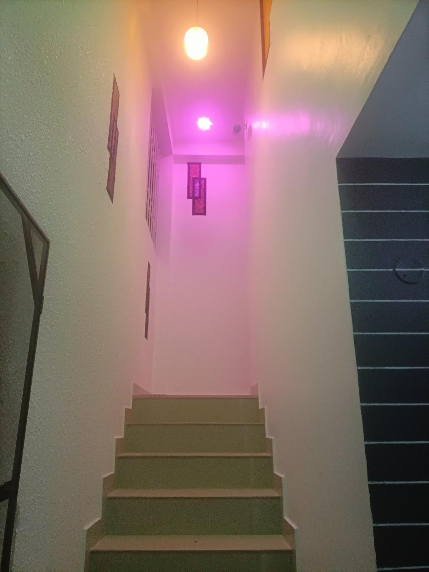 Cozy Haven Apartment Kochi Luaran gambar